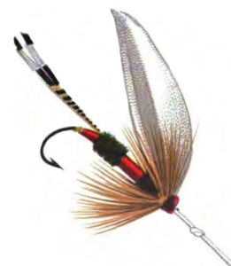 The royal coachman fly