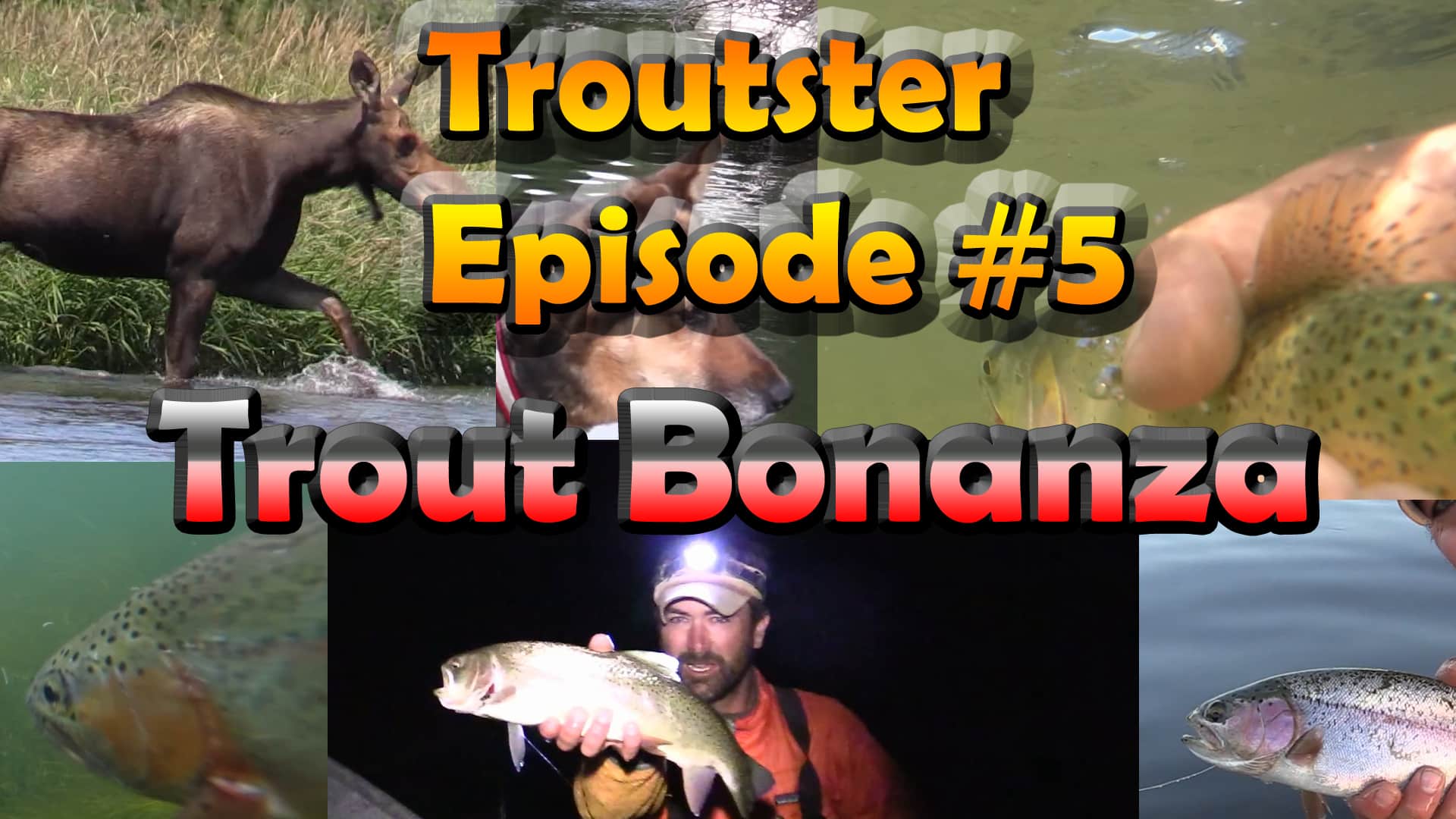Trout fishing bonanza troutster episode 5