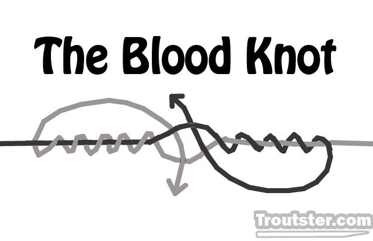 Tying the blood knot - One of the most important fly fishing knots to know. 