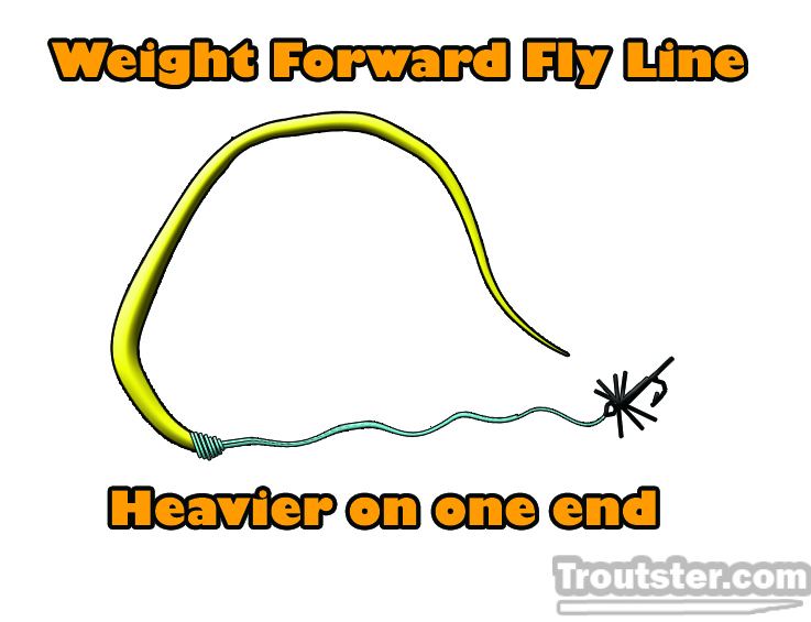 Weight forward fly line example