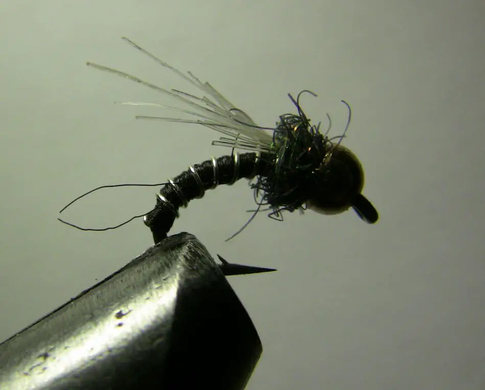 Zebra midge tying variation using a yak hair wing