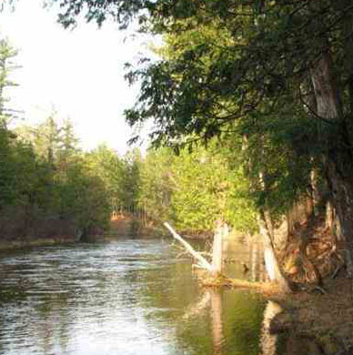 Michigan Trout Stream Map – Troutster.com – Fly Fishing Tips and Tactics