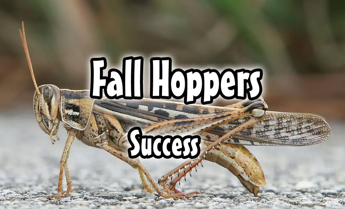 fall hopper fishing success