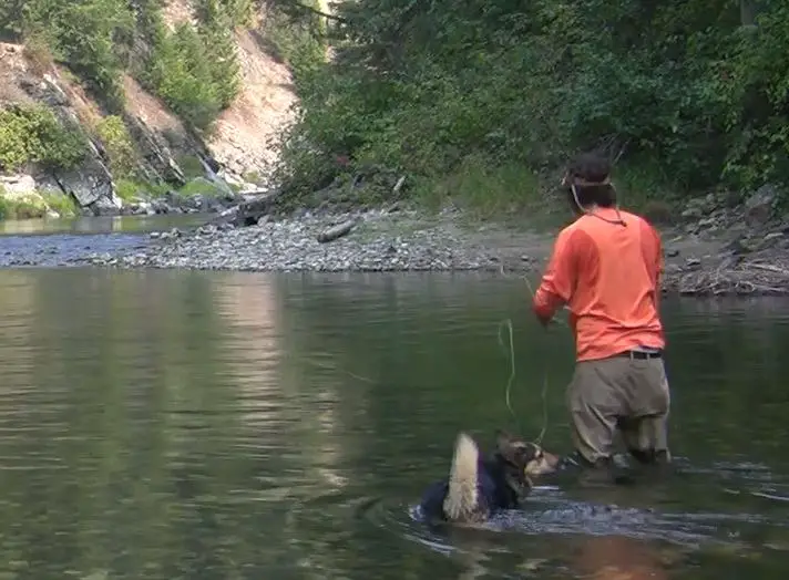 Standing in a river casting to trout with my dog. 