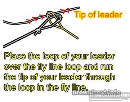 Loop to Loop Knot or connection, how to put line a reel, how to put fishing line on a reel, how to tie line to reel, how to put fly fishing line on a reel