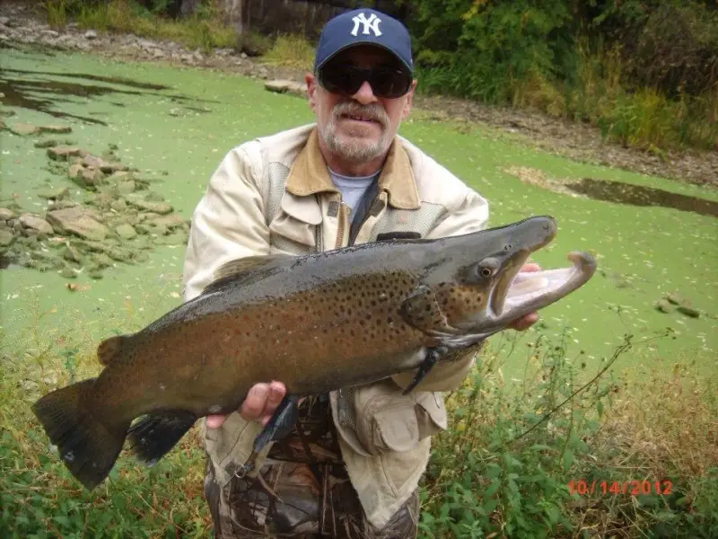 yowsalookatthekypeonthisonejimmysmithtookthisphotoofhis