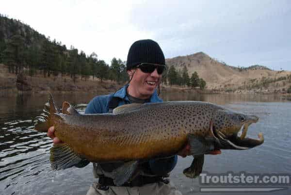 Taylor Dumont holds a huge Montana brown trout